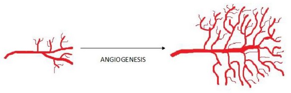 watson biologia molecular del gen pdf descargar