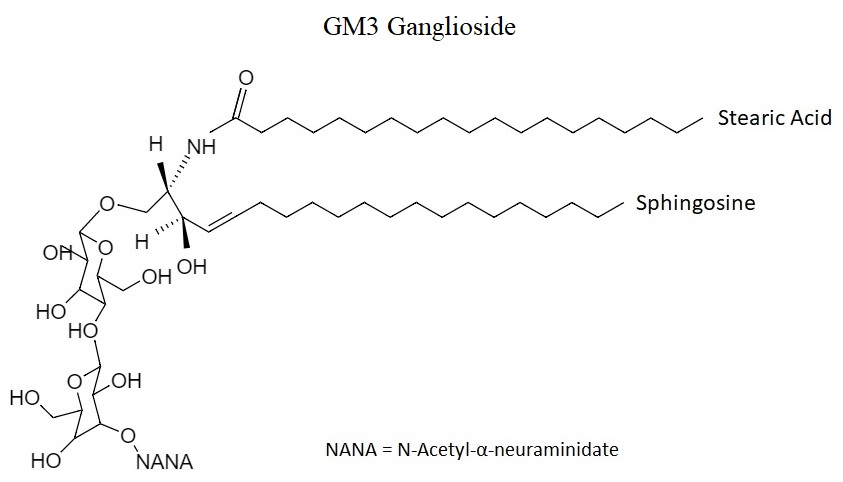 ganglioside structure